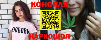 стаф Будённовск