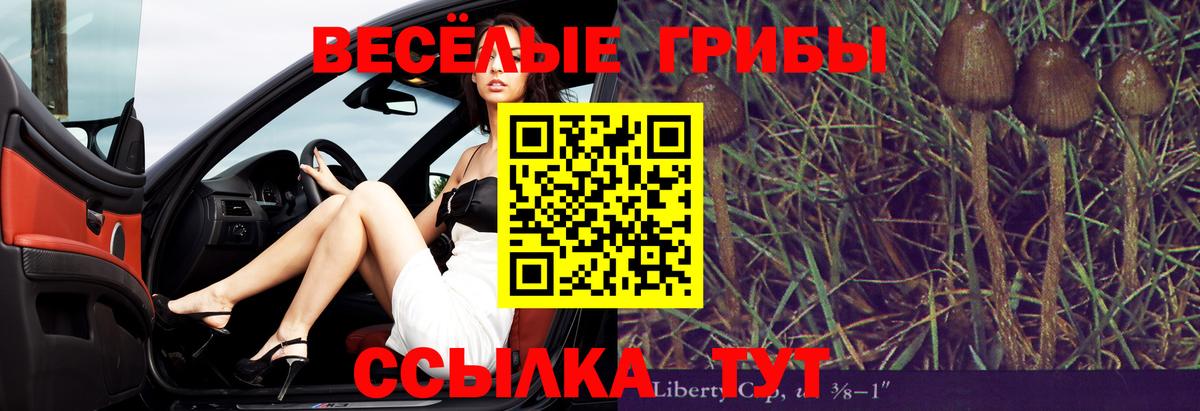Псилоцибиновые грибы прущие грибы Подольск