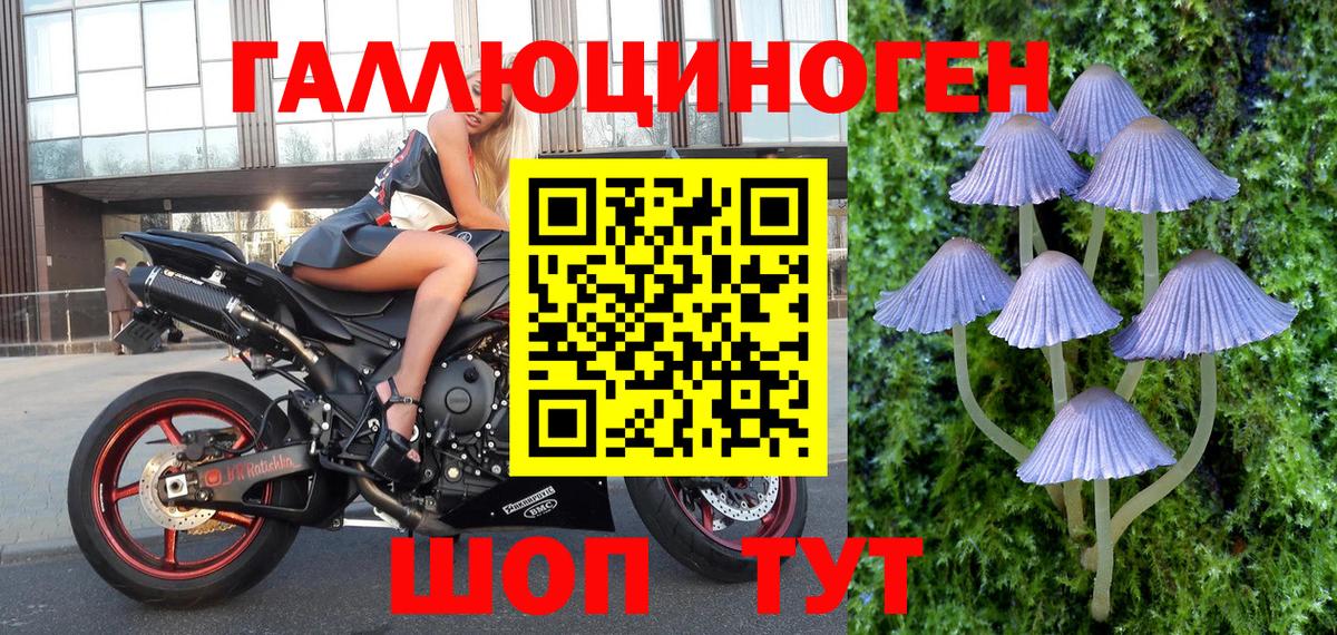 Галлюциногенные грибы Magic Shrooms  Вход с VPN  Подольск 